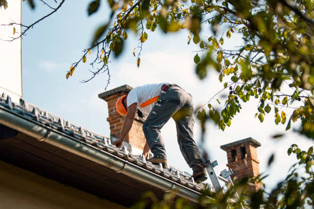 Residential Roof Replacement in Coloma, MI