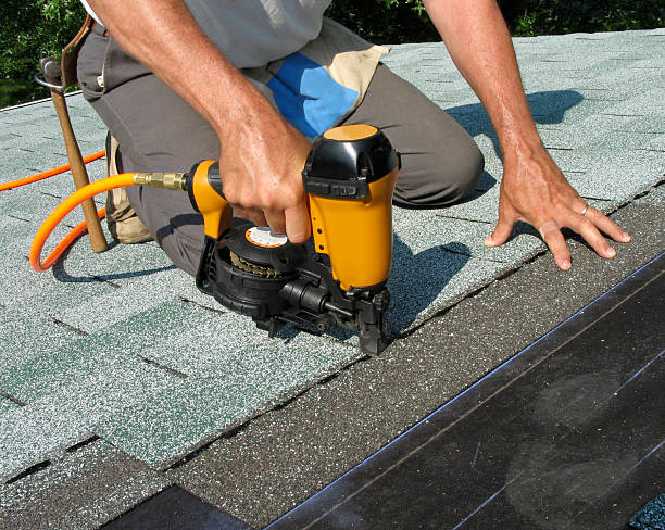Best Storm Damage Roof Repair  in Coloma, MI
