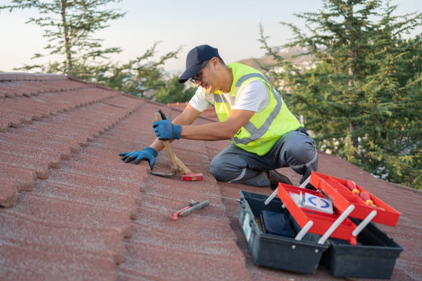 Best Roof Maintenance Services  in Coloma, MI