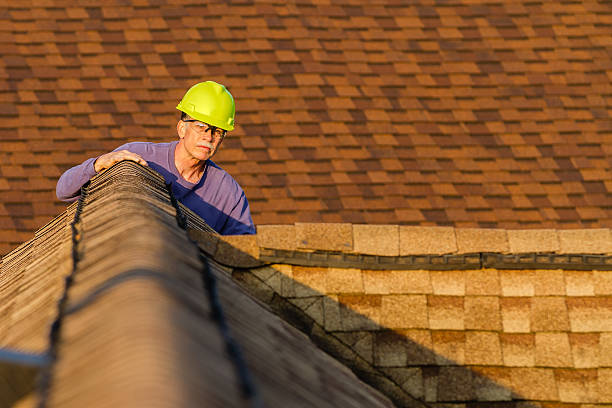 Best Roof Replacement Cost  in Coloma, MI