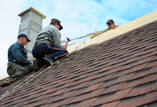 Best Best Roofing Contractors  in Coloma, MI