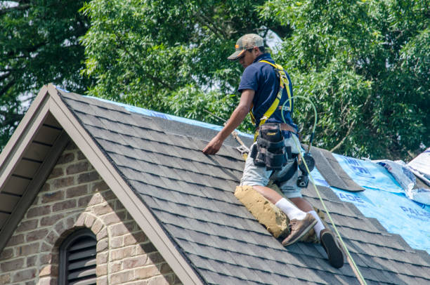 Best New Roof Installation  in Coloma, MI